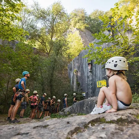 Domaine Chateau De Dieupart