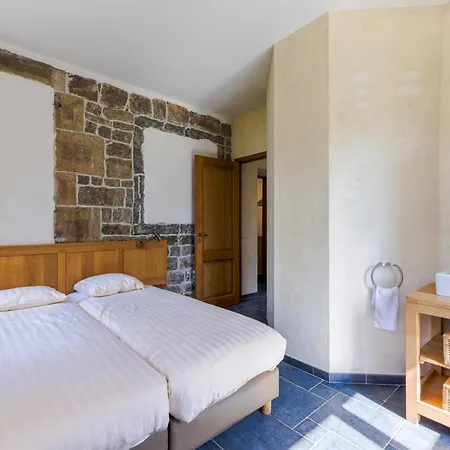 Domaine Chateau De Dieupart * エワイユ