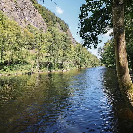 Domaine Chateau De Dieupart *